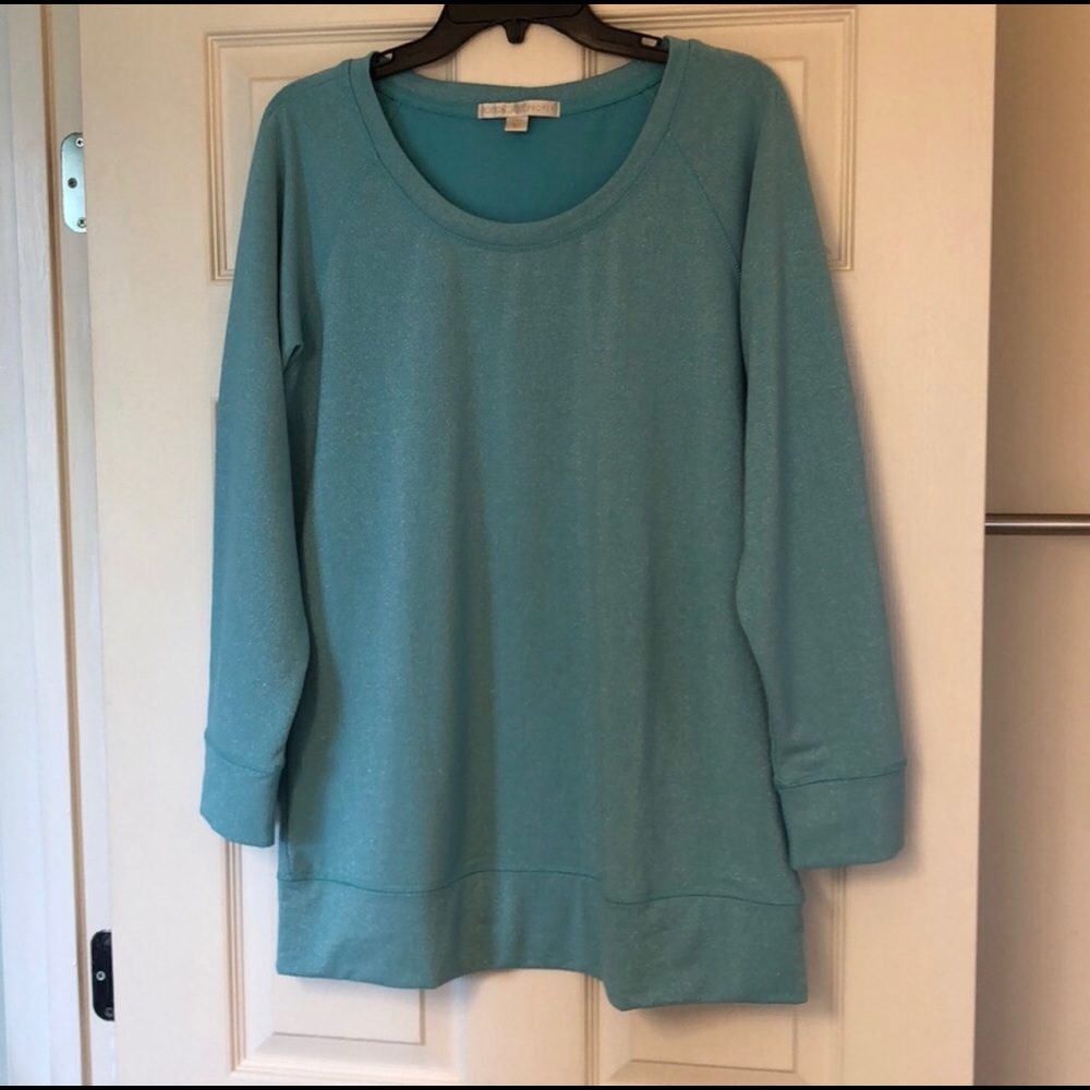 Boston Proper Sparkle Tunic